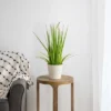 Northlight 24" Artificial Green Onion Grass Plant In Tin Pot 13 Northlight 24" Artificial Green Onion Grass Plant In Tin Pot -Fresh Plant Store GUEST 013e9dc2 7d50 4b67 b7bc c0eb9c8b6d14