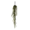 Vickerman Artificial Mini String Of Coins Hanging Succulent Bush. 2/Bag 10 Vickerman Artificial Mini String Of Coins Hanging Succulent Bush. 2/Bag -Fresh Plant Store GUEST 0e4a6fe7 71d2 4fbc bc0b ae40a491598c