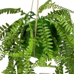 Northlight 18" Artificial Fern Plant With Moss Ball And Hanging Jute Cord -Fresh Plant Store GUEST 0e5dd98e 27e5 46c2 b14a 0d8c4f10e7ed