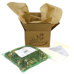 25ct Tulips Golden Apeldoorn Bulbs - Van Zyverden 9 25ct Tulips Golden Apeldoorn Bulbs - Van Zyverden -Fresh Plant Store GUEST 173d033c 2a9d 49e2 aac7 fc87c07d5dac 23