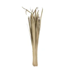 Vickerman Natural Botanicals Sun Palm Leaf 9 Vickerman Natural Botanicals Sun Palm Leaf -Fresh Plant Store GUEST 18f88462 9022 43d7 8d4d dd17d90b7199