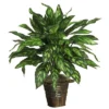 Nearly Natural 31-in Silver King W/Basket Silk Plant -Fresh Plant Store GUEST 1b968b7f 3945 4c18 867d 2fcad01f0c0b