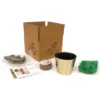 Hyacinth Kit Pink Pearl PreChilled With Iron Brass Fluted Finish Planter - Van Zyverden -Fresh Plant Store GUEST 205f37db 2cd6 4f52 a99e 715e0cbe297d