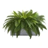 Nearly Natural 30-in Boston Fern Artificial Plant In Stone Planter -Fresh Plant Store GUEST 2162a25e a23a 4e05 829b 56ad4ba4a1d0