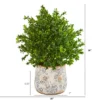 Nearly Natural 18-in Sweet Grass Artificial Plant In Floral Vase (Indoor/Outdoor) 12 Nearly Natural 18-in Sweet Grass Artificial Plant In Floral Vase (Indoor/Outdoor) -Fresh Plant Store GUEST 23f56479 8563 4f2e 9f69 3b3f6559ab61