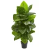 Nearly Natural 4-ft Taro Artificial Plant -Fresh Plant Store GUEST 25aed56a b221 4df4 a78d 38dd6ccedacf