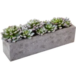 Nearly Natural Succulent Garden With Textured Concrete Planter -Fresh Plant Store GUEST 2bceae40 1781 4809 8a7e 53025bb21e83