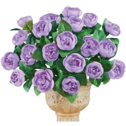 Collections Etc Cabbage Rose Bushes Set Of 3 8 Collections Etc Cabbage Rose Bushes Set Of 3 -Fresh Plant Store GUEST 37b94a12 7a68 4af5 8b49 23b09ed0c5b4