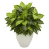 Nearly Natural 28-in Dieffenbachia Artificial Plant In White Planter 15 Nearly Natural 28-in Dieffenbachia Artificial Plant In White Planter -Fresh Plant Store GUEST 39013000 f999 473e b7b8 56ee54fba254