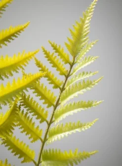 Sullivans Artificial Potted Fern