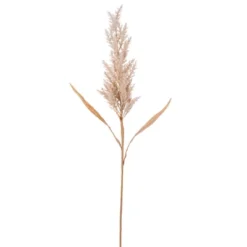 Vickerman Artificial 36" Cluster Reed Spray -Fresh Plant Store GUEST 3f3e33ac a93e 47a6 8a65 5985d22a230c