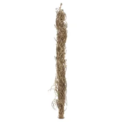 Vickerman Natural Medusa Branch, Dried