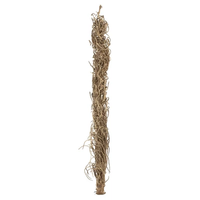 Vickerman Natural Medusa Branch, Dried 1 Vickerman Natural Medusa Branch, Dried