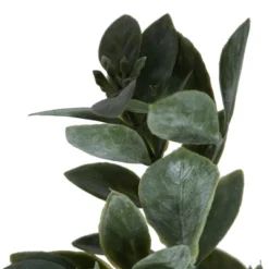 Vickerman 20" Artificial Green And White Aglaia Spray. Includes 6 Sprays Per Pack. -Fresh Plant Store GUEST 4cc0f41b 5739 4543 a255 522444513481