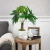Northlight 18.5" Artificial Guiana Chestnut Plant In White Pot -Fresh Plant Store GUEST 54cf12fc 81a5 4822 880c 18d23bd3617e