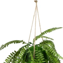 Northlight 18" Artificial Fern Plant With Moss Ball And Hanging Jute Cord -Fresh Plant Store GUEST 5d0831f1 7f72 48be 9ffc 9cee800662e5