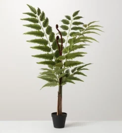 Sullivans Artificial Potted Fern -Fresh Plant Store GUEST 63b25a85 c0b8 4019 982a adeea6f81369