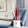 Forever Leaf University Of Alabama Faux Snake Plant, Indoor Artificial Plant For Home Decor -Fresh Plant Store GUEST 67331e50 ad09 4035 b5a8 6ae591c6982d