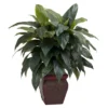 Nearly Natural Cordyline W/Decorative Vase Silk Plant -Fresh Plant Store GUEST 6a109e16 915b 4aeb b1ad cd62d4f0de5d