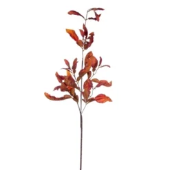 Vickerman 44.5" Dried Pomelo Leaves Spray -Fresh Plant Store GUEST 6d3cc3cb 438c 464a b790 5e71a31f0c31