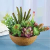 Collections Etc Faux Succulent Plants Arrangement In Pot -Fresh Plant Store GUEST 70df04a8 abae 4f82 b964 4ca9ad244c97