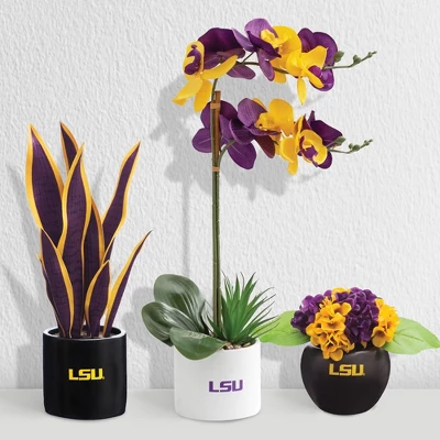 Forever Leaf LSU Artificial Snake, Orchid And Hydrangea Plants 3-Pack Bundle, Indoor Artificial Plant For Home Decor 6 Forever Leaf LSU Artificial Snake, Orchid And Hydrangea Plants 3-Pack Bundle, Indoor Artificial Plant For Home Decor - Image 6