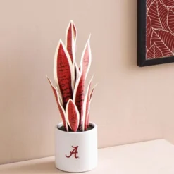 Forever Leaf University Of Alabama Faux Snake Plant, Indoor Artificial Plant For Home Decor -Fresh Plant Store GUEST 7406c8c6 a58b 4a19 9561 b0da1b229a93