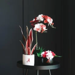 Front Page 8 Front Page -Fresh Plant Store GUEST 7476ace7 2e74 4c47 8ec3 9d6727e90aed