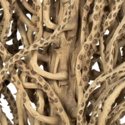 Vickerman Natural Medusa Branch, Dried 8 Vickerman Natural Medusa Branch, Dried -Fresh Plant Store GUEST 7734bf72 e321 4442 a8b3 5ce8d78f4659