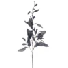 Vickerman 44.5" Dried Pomelo Leaves Spray -Fresh Plant Store GUEST 80af8a57 e349 4772 a78c 8485b79a477a