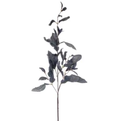 Vickerman 44.5" Dried Pomelo Leaves Spray