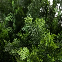Nearly Natural 5-ft Artificial Cedar Bush UV Resistant (Indoor/Outdoor) 7 Nearly Natural 5-ft Artificial Cedar Bush UV Resistant (Indoor/Outdoor) -Fresh Plant Store GUEST 80cb0d6b 28cb 4724 bb87 f0aa773a800f