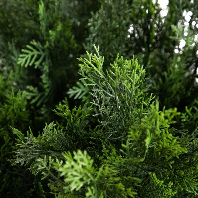 Nearly Natural 5-ft Artificial Cedar Bush UV Resistant (Indoor/Outdoor) 2 Nearly Natural 5-ft Artificial Cedar Bush UV Resistant (Indoor/Outdoor) - Image 2