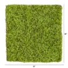 Nearly Natural 20-in X 20-in Duckweed Artificial Wall Mat -Fresh Plant Store GUEST 86e4e146 4c53 4334 b10f 0b2cfb9b1fc0