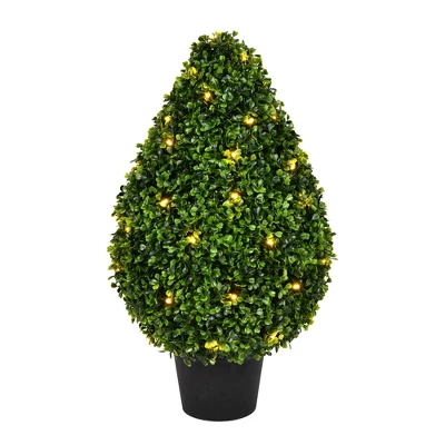 Vickerman Boxwood Teardrop Shaped Bush 2 Vickerman Boxwood Teardrop Shaped Bush - Image 2
