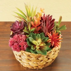 Collections Etc Colorful Artificial Succulent Arrangement 7.5 X 7.5 X 8.5