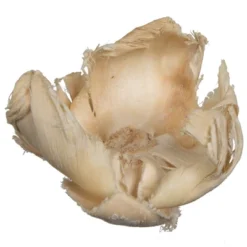 Vickerman Natural Botanicals 2.75" Palm Cap