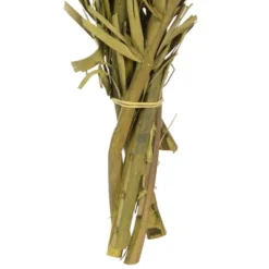 Vickerman 40-48" Twisted Coco Palm Stems, Dried -Fresh Plant Store GUEST 952375e5 b8da 4f9f a3dc f74d0b371afb