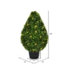 Vickerman Boxwood Teardrop Shaped Bush -Fresh Plant Store GUEST 95799975 c0f1 4a84 8a02 12e19205c3db