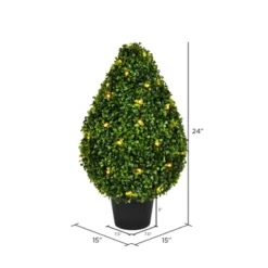 Vickerman Boxwood Teardrop Shaped Bush