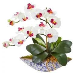 Nearly Natural 16-in Phalaenopsis Orchid Artificial Arrangement In Vase -Fresh Plant Store GUEST 98d4d6ca a1c5 4c5e 9f97 11989bd526be