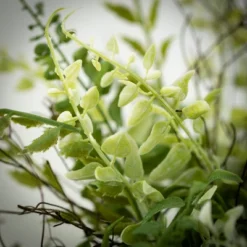 Sullivans Artificial Fern Twig Half Orb 12"H Green