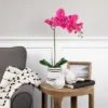 Northlight Real Touchâ„¢ Pink Artificial Spring Orchids In A Striped Ceramic Pot 2" 2 Northlight Real Touchâ„¢ Pink Artificial Spring Orchids In A Striped Ceramic Pot 2" -Fresh Plant Store GUEST 9fb5159e 70aa 466f 827d 37ee0c809837