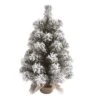 Transpac Artificial 18 In. Multicolor Christmas Snow Colorado Tree With Bagged Stand 2 Transpac Artificial 18 In. Multicolor Christmas Snow Colorado Tree With Bagged Stand -Fresh Plant Store GUEST a38084e0 2e20 4046 abce 4f3a67c39d93