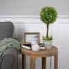 Northlight 17" Round Boxwood Topiary Artificial Potted Tree - Green/Gray -Fresh Plant Store GUEST a4bc44fa 320e 4dc1 825c a94a2a906d0c