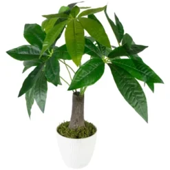 Northlight 18.5" Artificial Guiana Chestnut Plant In White Pot -Fresh Plant Store GUEST a68db497 fd24 4c04 b4a4 94ecc0a071f7