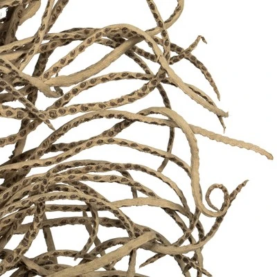 Vickerman Natural Medusa Branch, Dried 2 Vickerman Natural Medusa Branch, Dried - Image 2