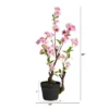 Nearly Natural 2.5-ft Cherry Blossom Artificial Plant 11 Nearly Natural 2.5-ft Cherry Blossom Artificial Plant -Fresh Plant Store GUEST b16cb675 2edf 413d 931f c9bc3c4dd8bf
