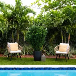 Nearly Natural 5-ft Artificial Cedar Bush UV Resistant (Indoor/Outdoor) 8 Nearly Natural 5-ft Artificial Cedar Bush UV Resistant (Indoor/Outdoor) -Fresh Plant Store GUEST b6a99173 484b 4a06 a396 88e8c0dda79b