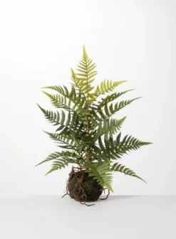 Sullivans Artificial Fern In Ball -Fresh Plant Store GUEST bb056bbe 75fe 482a a13b af26a2d2f2e8
